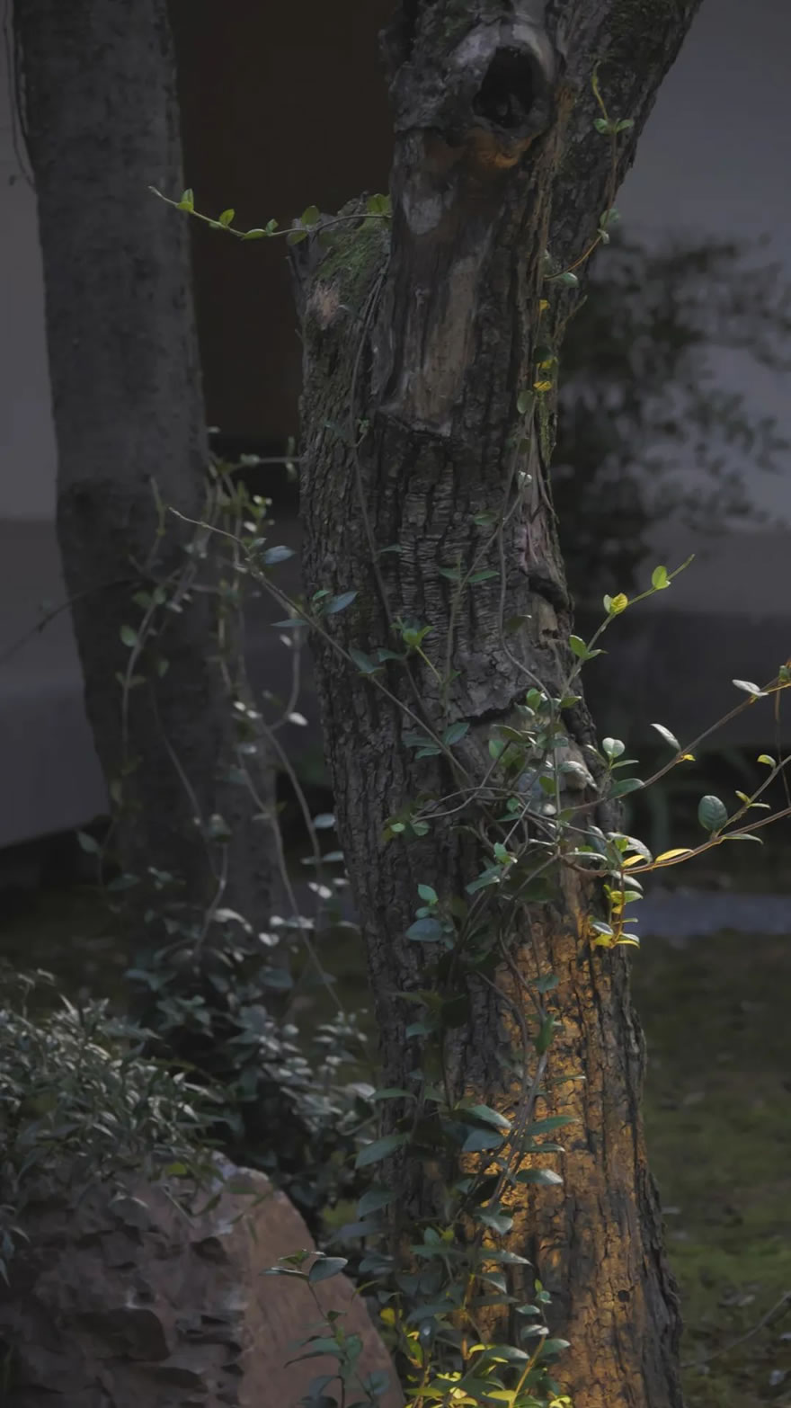 Zijin Villa